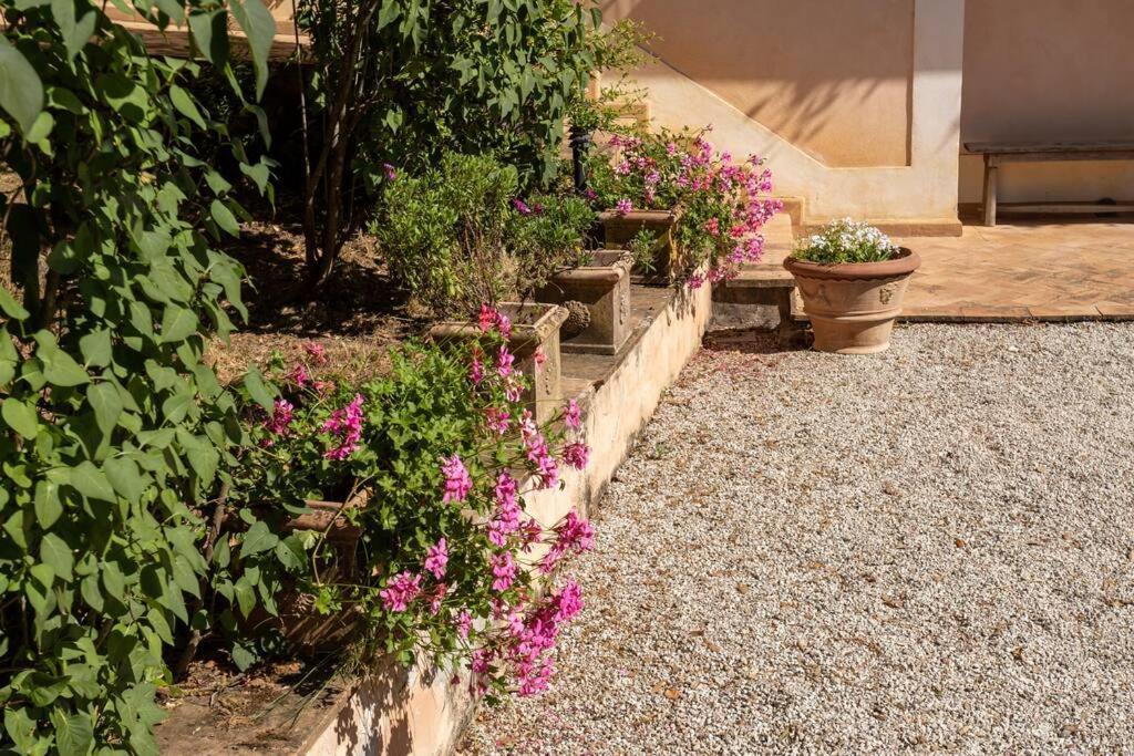 Apartment In Nature,10Min From City Perugia Eksteriør bilde