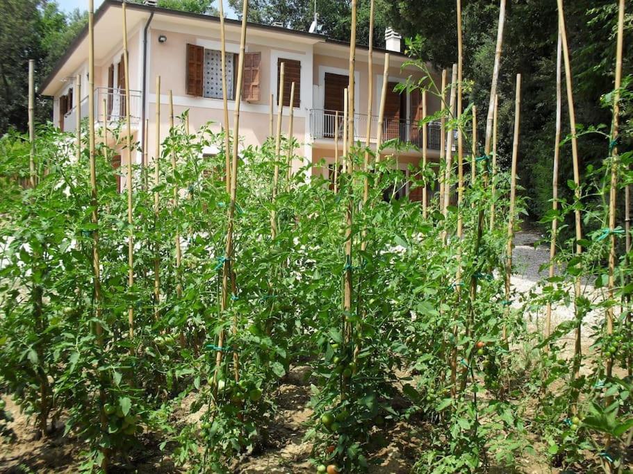 Apartment In Nature,10Min From City Perugia Eksteriør bilde