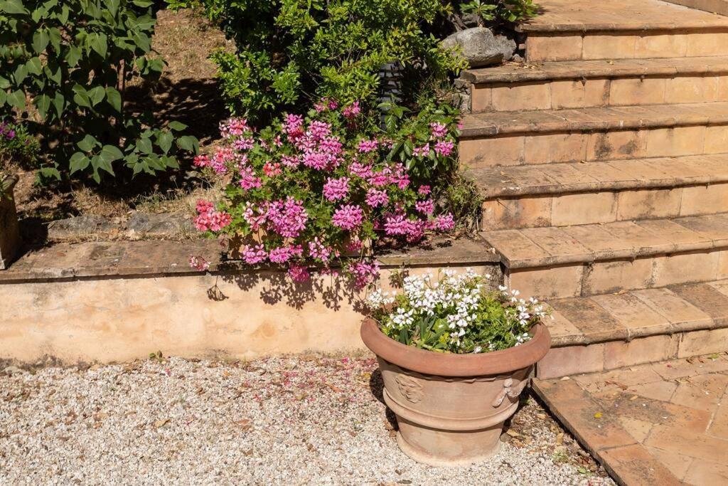 Apartment In Nature,10Min From City Perugia Eksteriør bilde